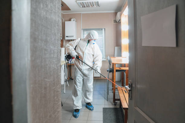 Best Environmental Consulting for Mold Prevention  in North Middletown, NJ