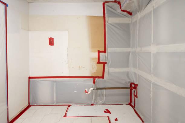 Best Mold Removal for HVAC Installations  in North Middletown, NJ